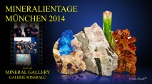 Mineralientage 2014