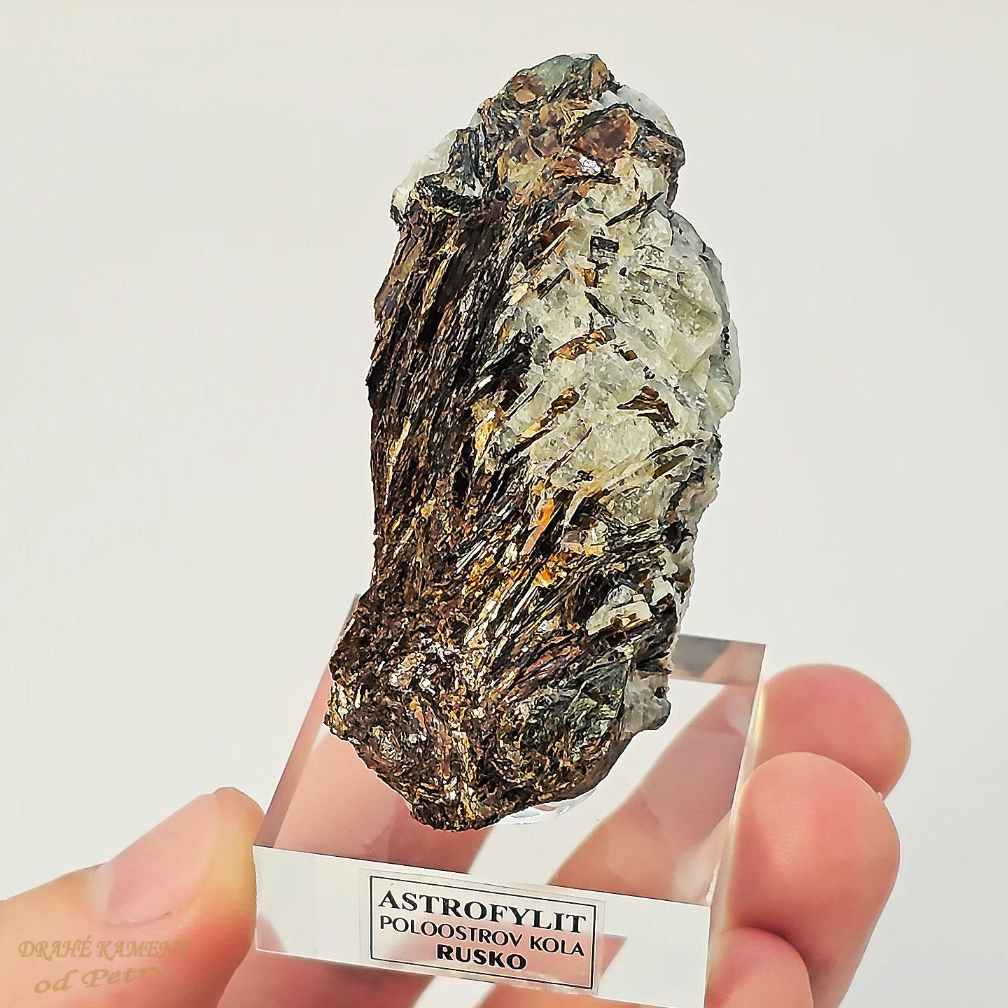 Astrofylit z Ruska 70x30mm