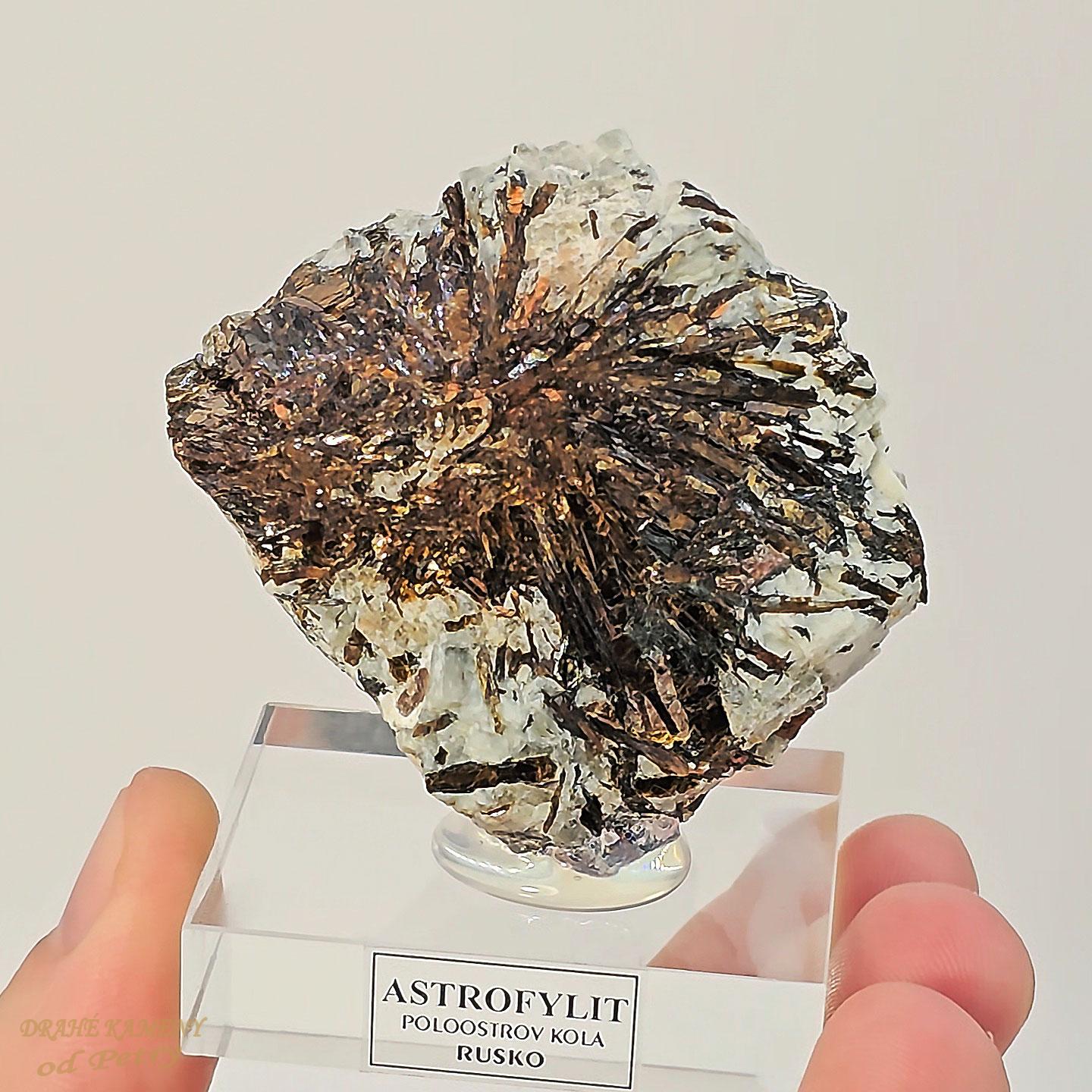 Astrofylit z Ruska 55x62mm