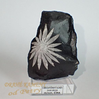 Chryzantémový kámen z Číny  67x50mm