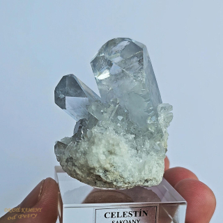 Celestin z Madagaskaru 52x43mm
