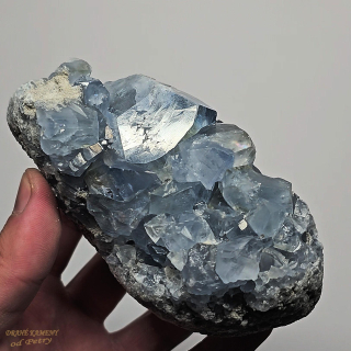 Celestin z Madagaskaru 120x60mm