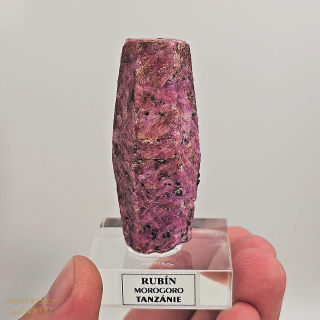 Rubín (korund) z Tanzánie 61x25mm