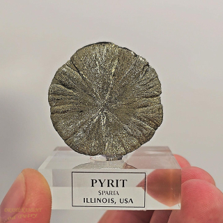Pyrit z USA  36x36mm