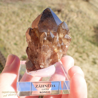 Záhněda z Konga 55x35mm