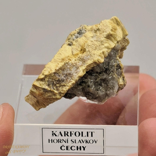 Karfolit  z Čech 35x28mm