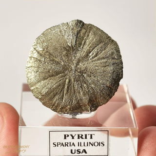 Pyrit z USA  33x31mm
