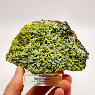 Plumbogummit na pyromorfitu z Číny 112x70mm